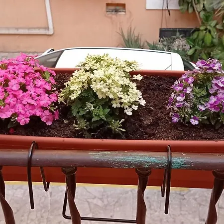 Gæstehus Capitolina Rom