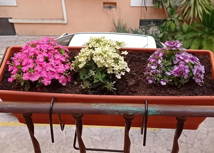 Affittacamere Capitolina Roma